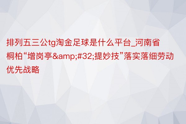 排列五三公tg淘金足球是什么平台_河南省桐柏“增岗亭&#32;提妙技”落实落细劳动优先战略