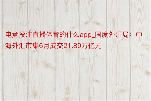 电竞投注直播体育的什么app_国度外汇局：中海外汇市集6月成交21.89万亿元