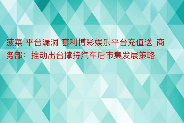 菠菜 平台漏洞 套利博彩娱乐平台充值送_商务部：推动出台撑持汽车后市集发展策略